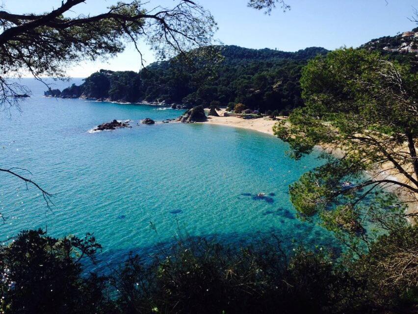 Appartements Les Pesquiers Hyeres Plage ภายนอก รูปภาพ