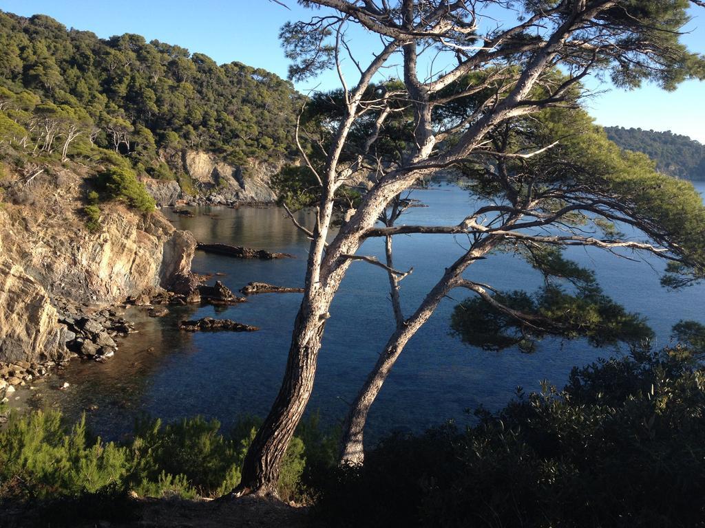 Appartements Les Pesquiers Hyeres Plage ภายนอก รูปภาพ